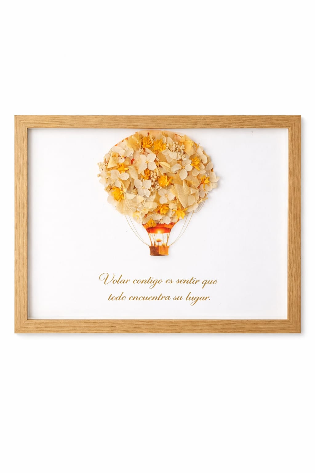 MARCO " Donde todo encuentra su lugar"